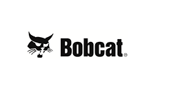 bobcat